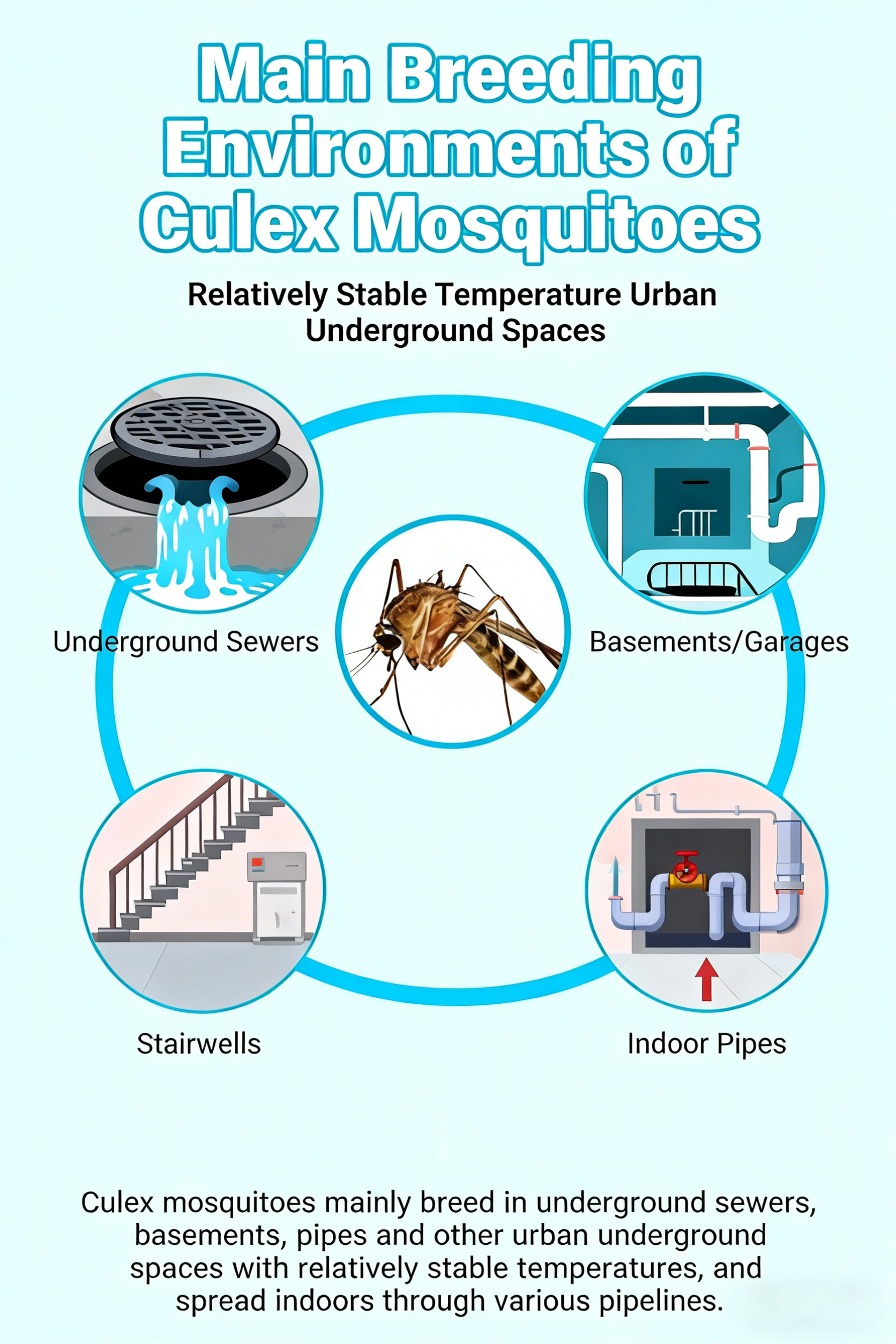 1765591018216584.png 冬蚊与驱蚊产品.png